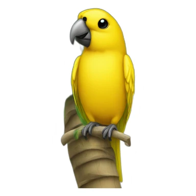 Canari on a palm tree sticker