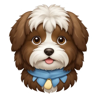 Brown and white Havanese  sticker