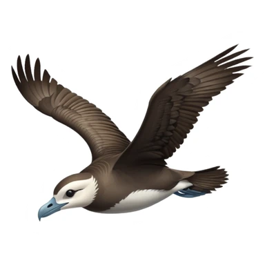 shearwater sticker