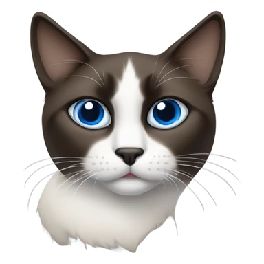 Snowshoe cat with white patch by nose, dark face and blue eyes sticker
