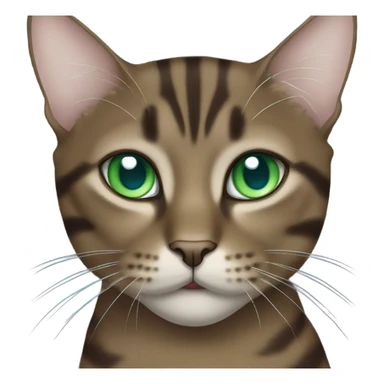 Dark brown tabby cat blue collar green eyes sticker