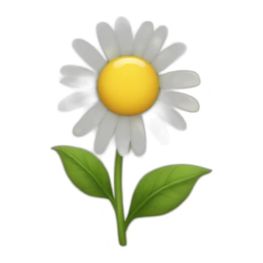 daisy shin sticker