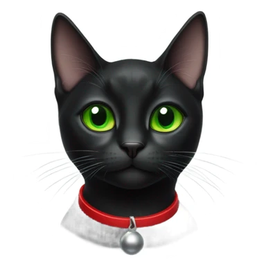 Small black cat wearing red collar with bell sticker