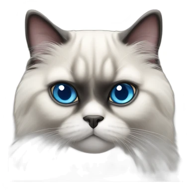himalayan cat -blue eyes - dark face and pigeon sticker