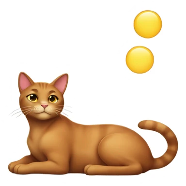 brown cat sunbathing  sticker