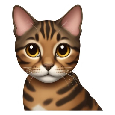 Beautiful woman long dark brown hair hug bengal cat sticker
