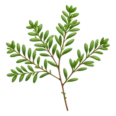 Cinematic Realistic Thyme Emoji, Compact and earthy, with tiny green leaves densely packed on delicate stems. The soft fragrance of the leaves fills the air, creating an atmosphere of warmth and subtle richness. Soft glowing outline, capturing the essence of simplicity and natural healing in a sprig of thyme! sticker