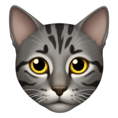 dark gray tabby cat with yellow eyes, black nose, some brown around mouth, brown around mouth, tip of left ear cut off sticker