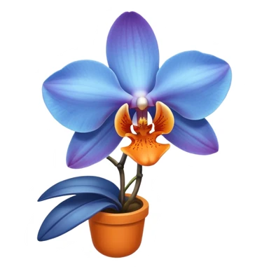 blue and orange colored orchid, simple and clean sticker