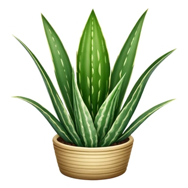 Sansevieria trifasciata sticker