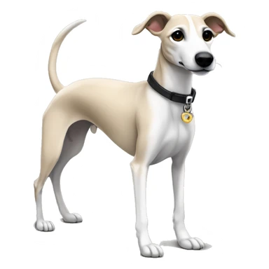 a beige whippet full body with stripes his left foot white color up up and a leash going out of frame, with a dark snout, black and white mouth patchy and black angel wing like eyes sticker