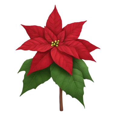 Realistic poinsettia sticker