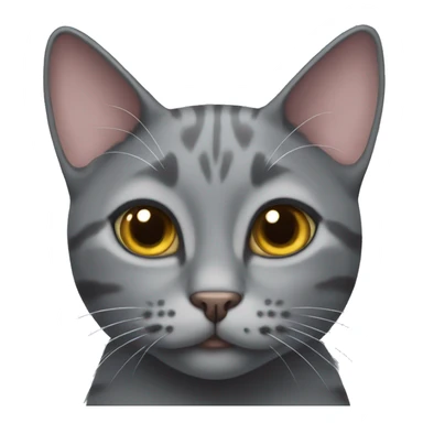 grey cat with heart eyes sticker