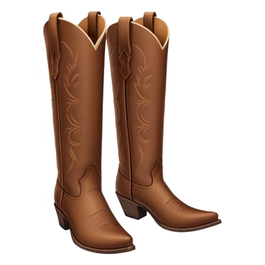 classic western cowboy boots with pointed toe and tall shaft sticker