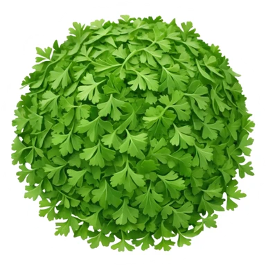 loose scatter of finely chopped dried parsley leaves with flat jagged shapes and soft matte texture, color ranges from bright to muted green, slight curl and crispness suggesting freshness preserved, no jar spoon or extras, just the herb, soft lighting, subtle shadows, emoji scale sticker