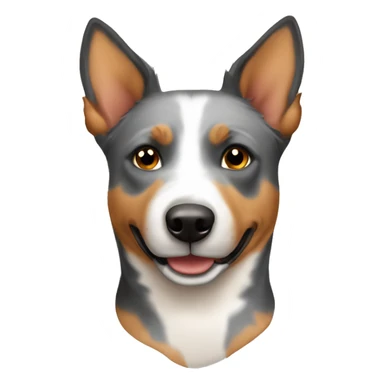 Australian cattle dog tan colour  sticker