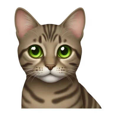 Brown/ Grey tabby cat with green eyes sticker
