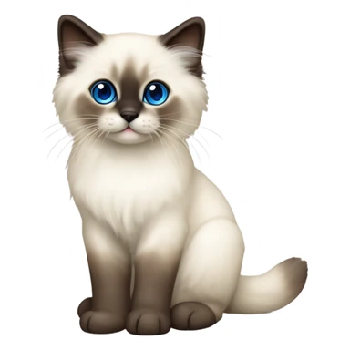 Seal point Ragdoll kitten  sticker