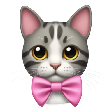 cat with a pink bow tied to its neck sticker