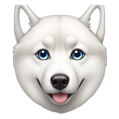 Siberian husky with 2 different eyes sticker