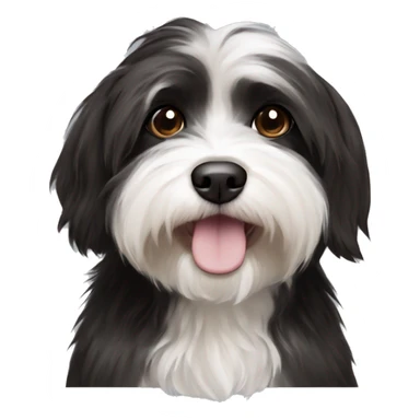Black and white Havanese with dark brown eyes sticker