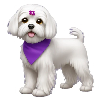 Maltese dog with purple collar sticker