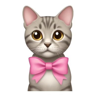 British short hair beige and grey with a pink bow sticker