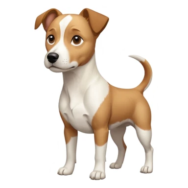 a full body facing front on of a buff white beagle cross jack russell terrier looking dog the size of a kelpie with light brown long ears resting on its face and a light brown patch above one eye and a large snout. the rest of the dog is completely white.  sticker