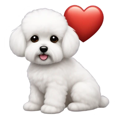 Maltese Bichon with a red heart sticker