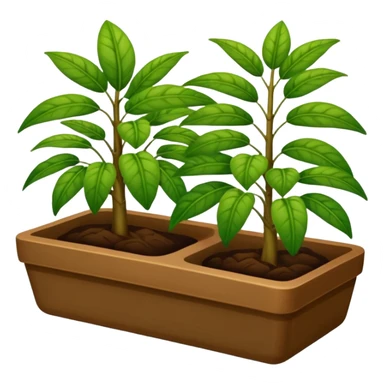 plantas abundantes tipo helecho en macetas rectangulares color café sticker