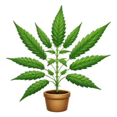 Cannabis sticker