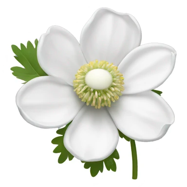 white anemone flower sticker