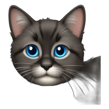create a black furry cat emoticon with blue eyes that says "have fun!,, sticker