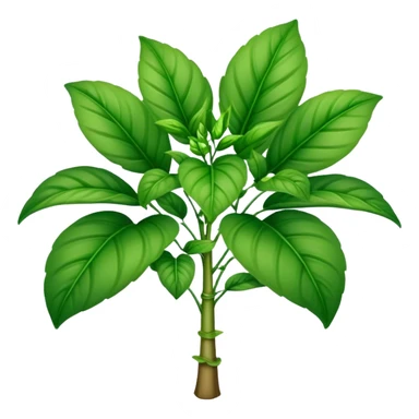 Zeta Levana plant sticker