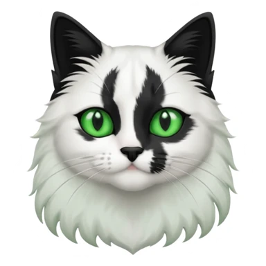black and white long hair cat. green eyes. black nose. black splotch in the shape of a star near nose (on the right side). white chest. sticker