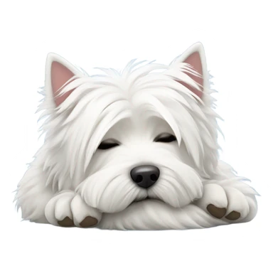 West highland white terrier sleeping  sticker