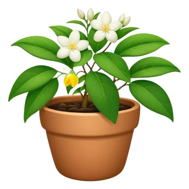 jasmine plant in pot sticker