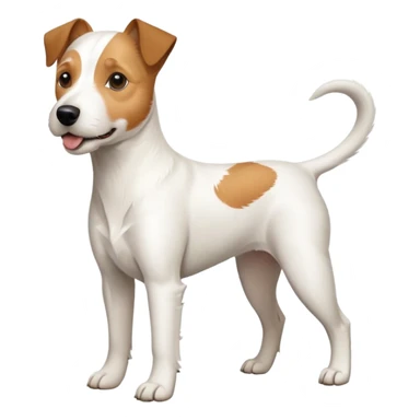 a full body white parson russell looking dog the size of a kelpie with light brown ears and a light brown patch on one eye and a large snout sticker