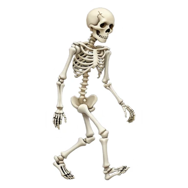 Skeleton walking like a zombie sticker