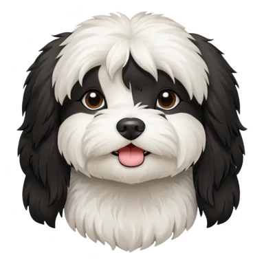 havanese female dog black and white sticker