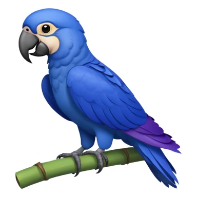 Hyacinth macaw sticker