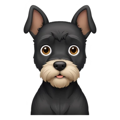 Black schnauzer with cropped ears sticker