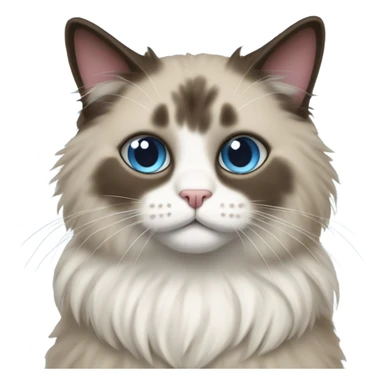 Ragdoll cat wearing a bean sticker