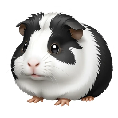 Black and white guinea pig  sticker