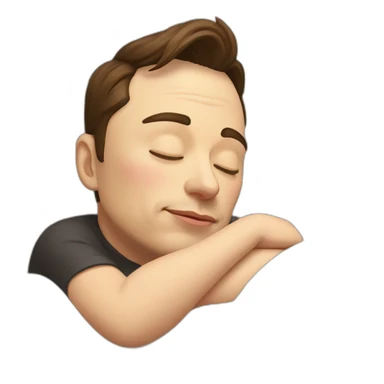 Elon-musk-sleeping sticker