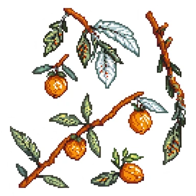 single sea buckthorn fruit sticker