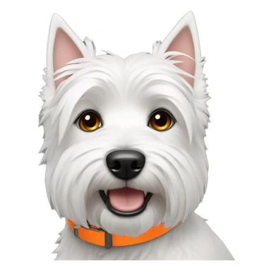 A Westie dog with a neon orange collar sticker