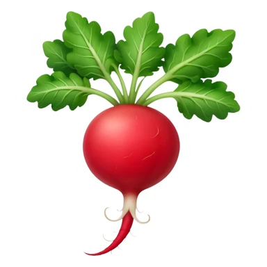 the actual radish compared to the leaves needs to be smaller, radish UK plant with a bit of white on the bottom of the radish sticker