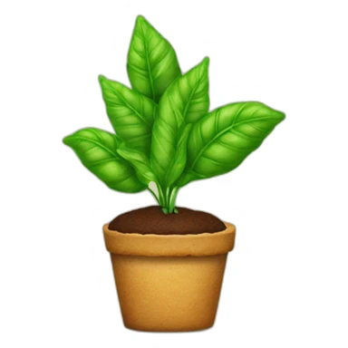 una pianta di basilico su una torta sticker