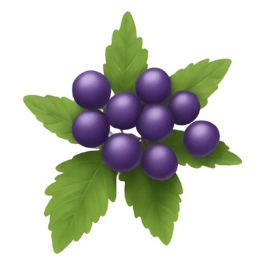 A purple elderberry sticker